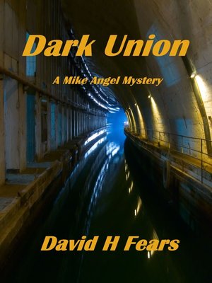 cover image of Dark Union